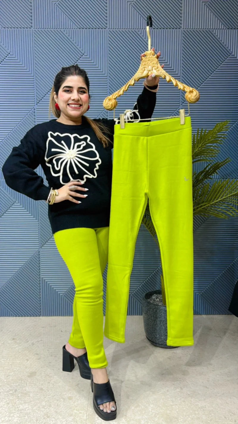 Korean Fleece Jeggings – Heavy, Stretchable Imported Fabric GGR821